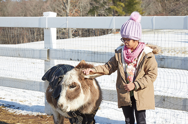 About-Groton-Farm-School-home-page